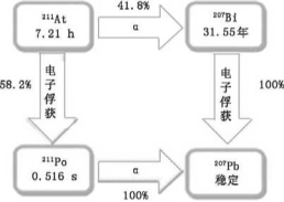 α核素在恶性肿瘤精准医疗中的应用